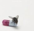 neues Album von den Red Hot Chili Peppers - Im with You