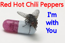 neues Album der Red Hot Chili Peppers